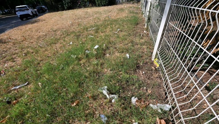 DOSSIER Proprete a Toulouse reelle amelioration ou illusion Dans les