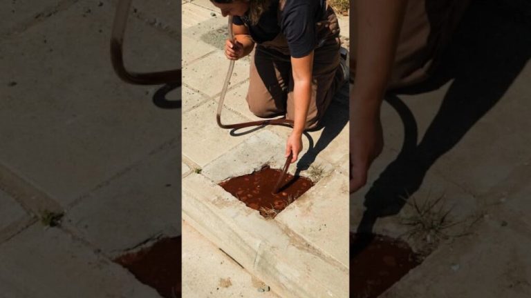 nid de poule Dun nid de poule de rue a une oeuvre 1024x576 1