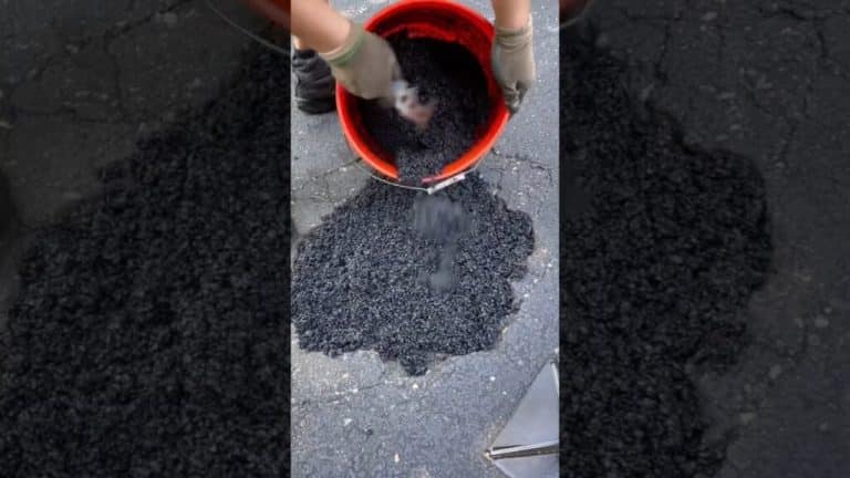 nids de poules They Covered Potholes with Carpets Only in America facts 1024x576 1