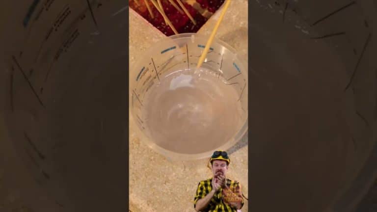 nids de poule Butch REAGIT a des conseils utiles pour 1024x576 1