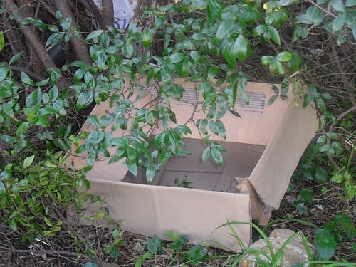 6645911237 ff1b747b3e