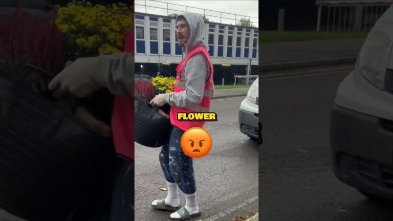 nids de poules The Pothole Saver harry pretty potholesnids de poulesThe Pothole Saver harry pretty potholes 1024x576 1