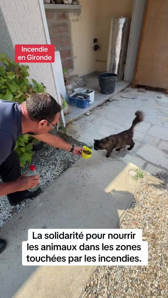 Tiktok police municipale Dans la panique les habitants ont parfoisimage 576x1024 1
