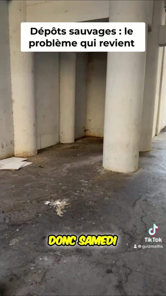 depots sauvages Nettoye ce matin deja les depots sauvages reviennentimage 576x1024 1